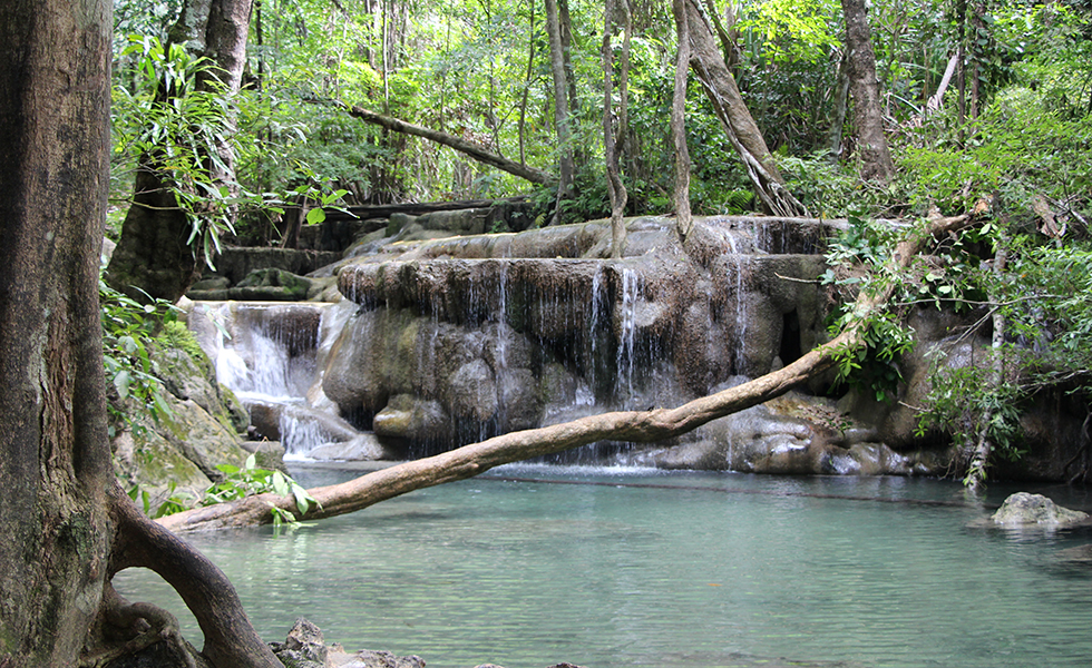 The Erawan Falls: Swimming Among the Fishes